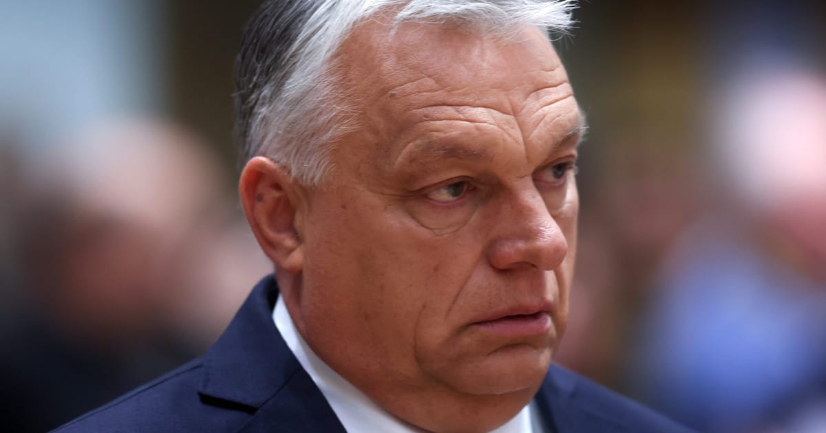 Featured image for Trump's Trade Tactics Stir EU and Hungary Tensions