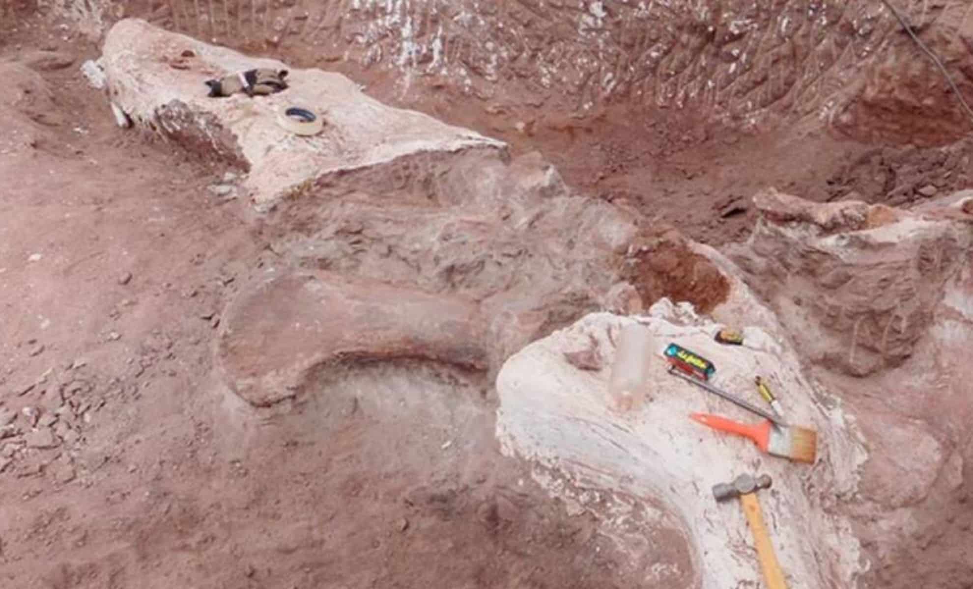 Featured image for Ancient 95-Million-Year-Old Plant-Eater Dinosaur Discovered