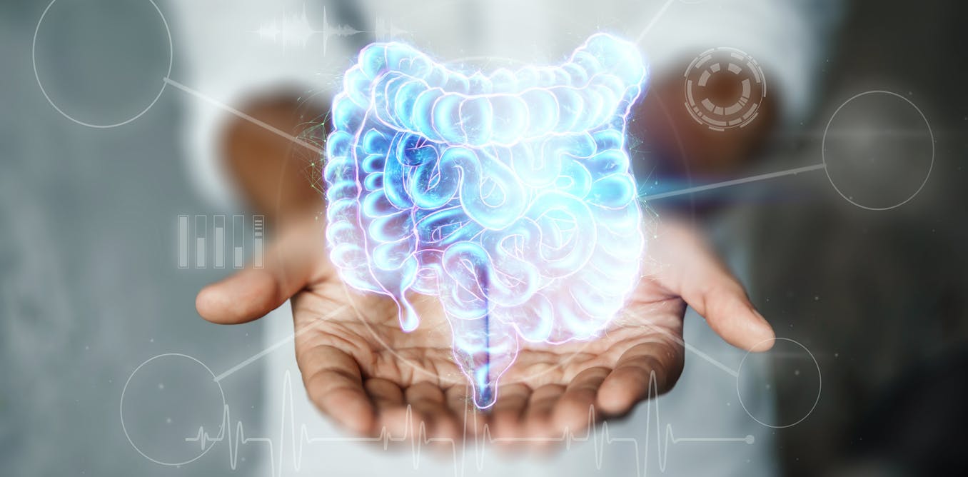 "The Impact of Aging on Gut Health and Inflammaging"