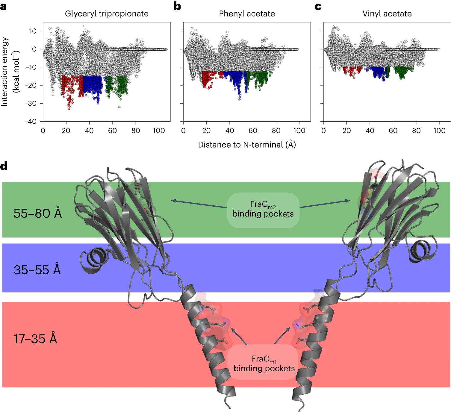 Featured image for "Breakthrough: Artificial Protein Degrades Microplastics in Bottles"