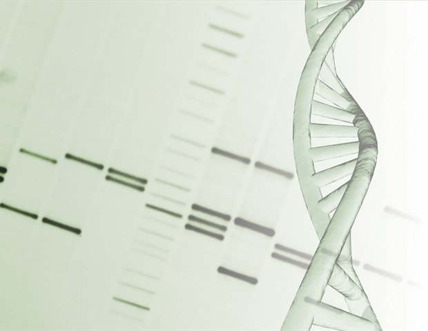 Featured image for Sweetener Chemical Damages DNA
