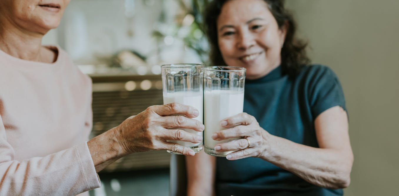 "Ensuring Nutrient-Rich Diets for Healthy Aging in Older Adults"