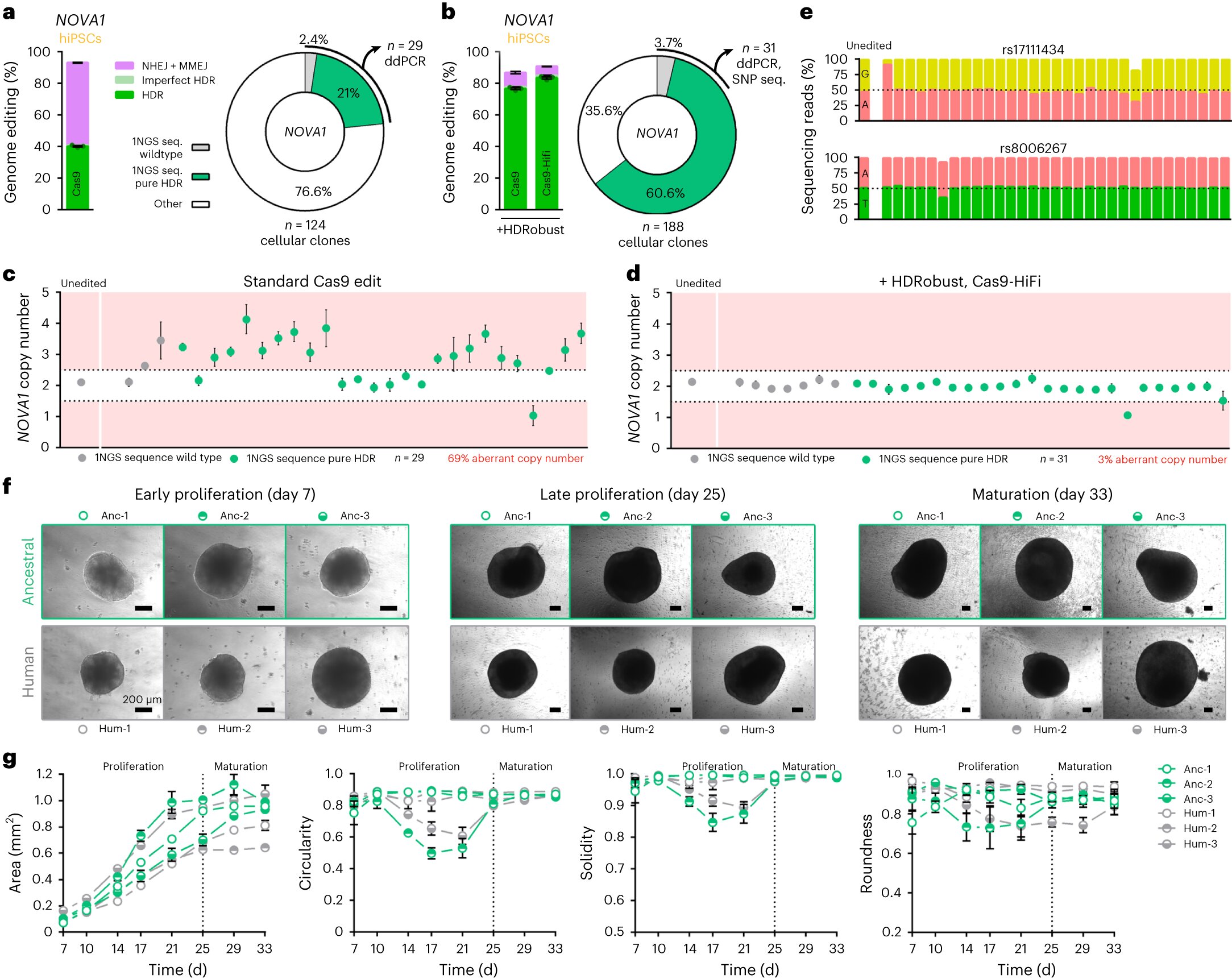 Featured image for Revolutionary DNA Editing Technique Enhances Efficiency, Precision, and Reliability