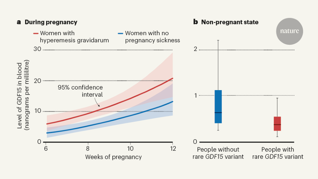 Featured image for Unveiling the Cause of Morning Sickness: A Promising Breakthrough