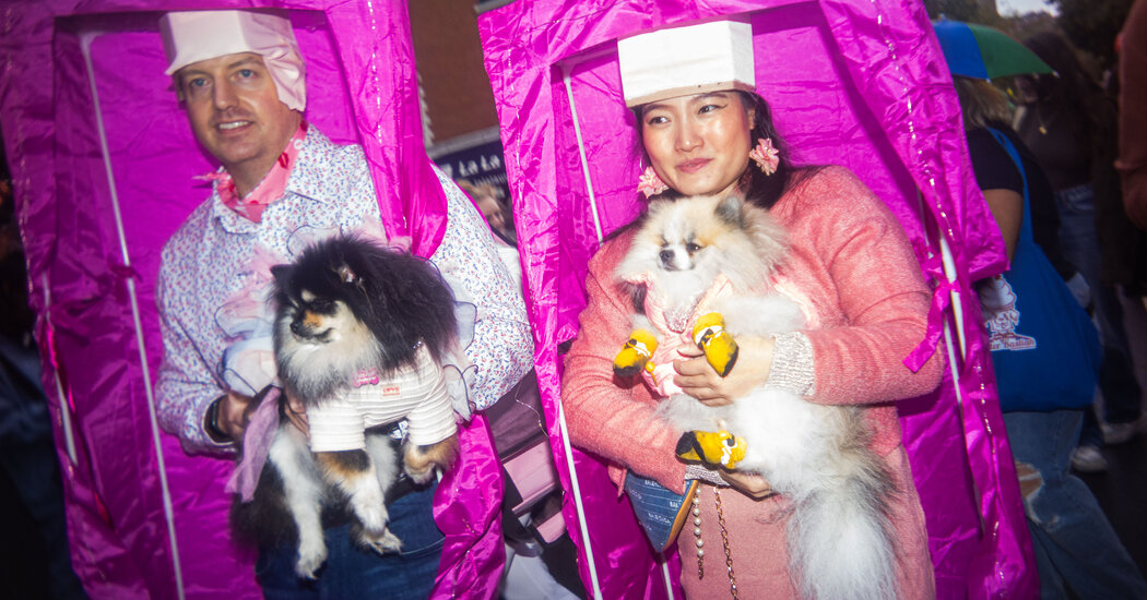 "Record Turnout at Tompkins Square Halloween Dog Parade Despite Near-Cancellation"