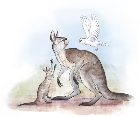 Featured image for "Giant Short-Faced Kangaroo Fossil Unearthed in Australia"