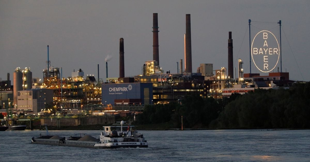 Featured image for Bayer Contemplates Breakup Amidst Management Job Cuts