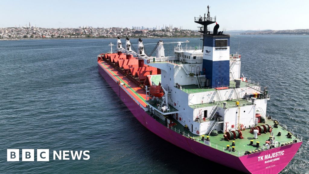 Russia's sudden withdrawal from Ukraine grain deal sparks tensions
