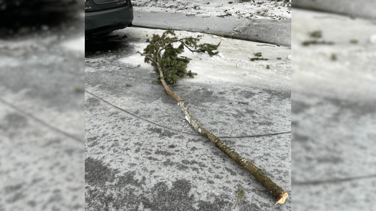 Featured image for "Live Power Line Tragedy: 3 Killed, Toddler Saved in Northeast Portland"