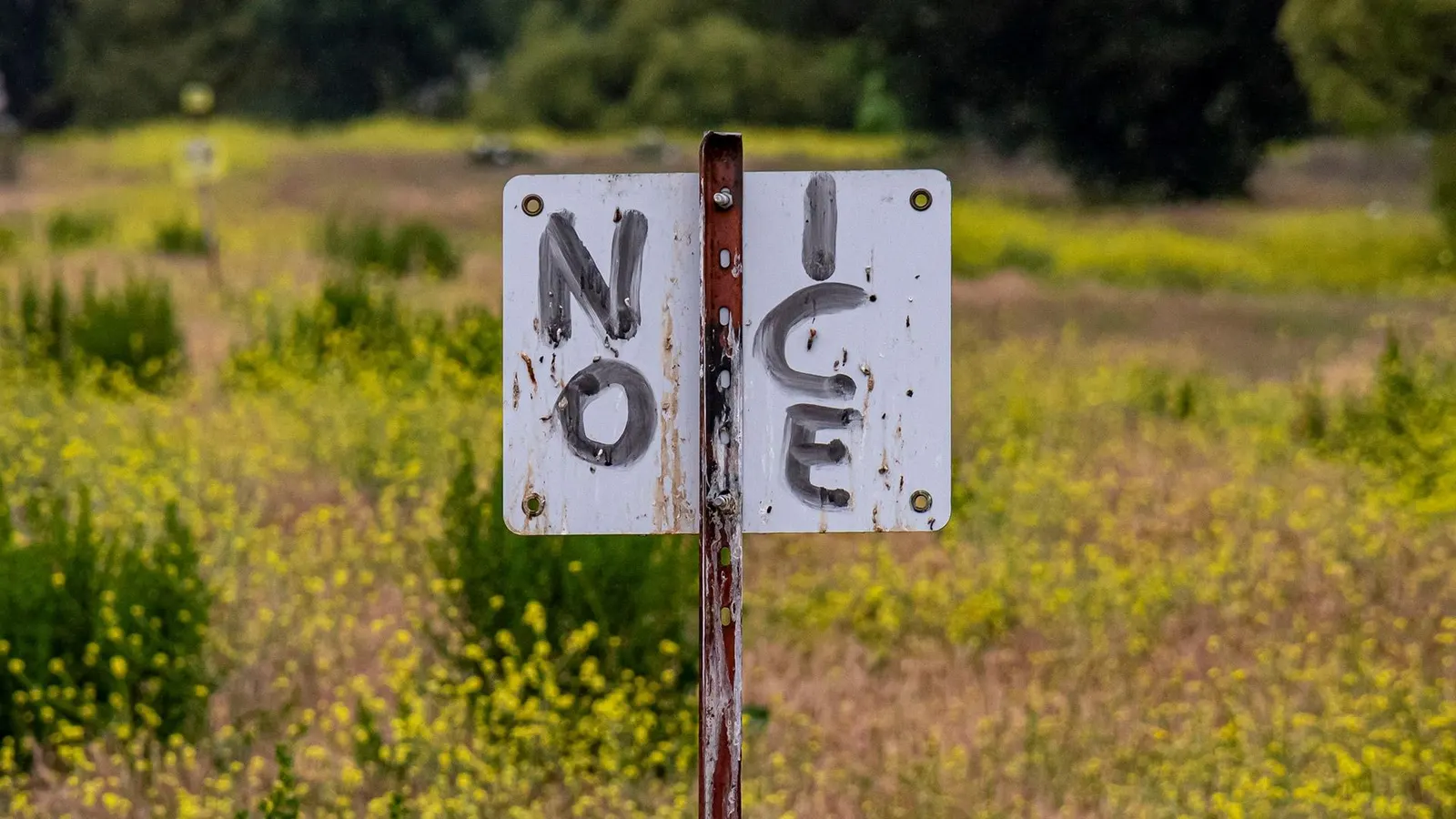 Featured image for LA Residents Use Ring App to Thwart ICE Raids