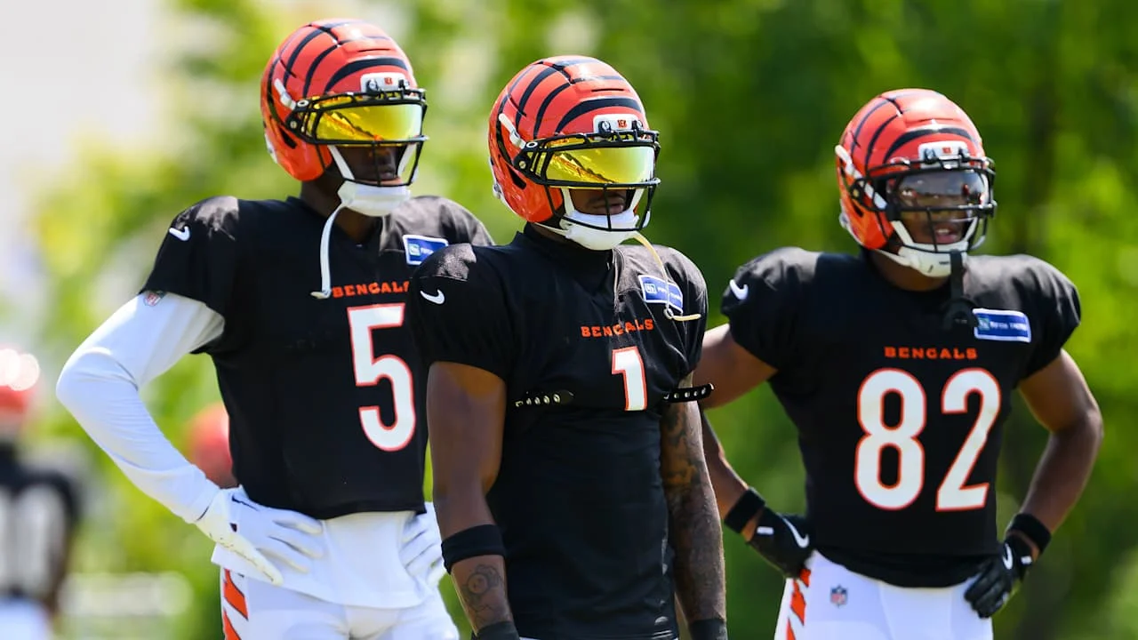 Bengals Final 53-Man Roster Predictions and Key Battles