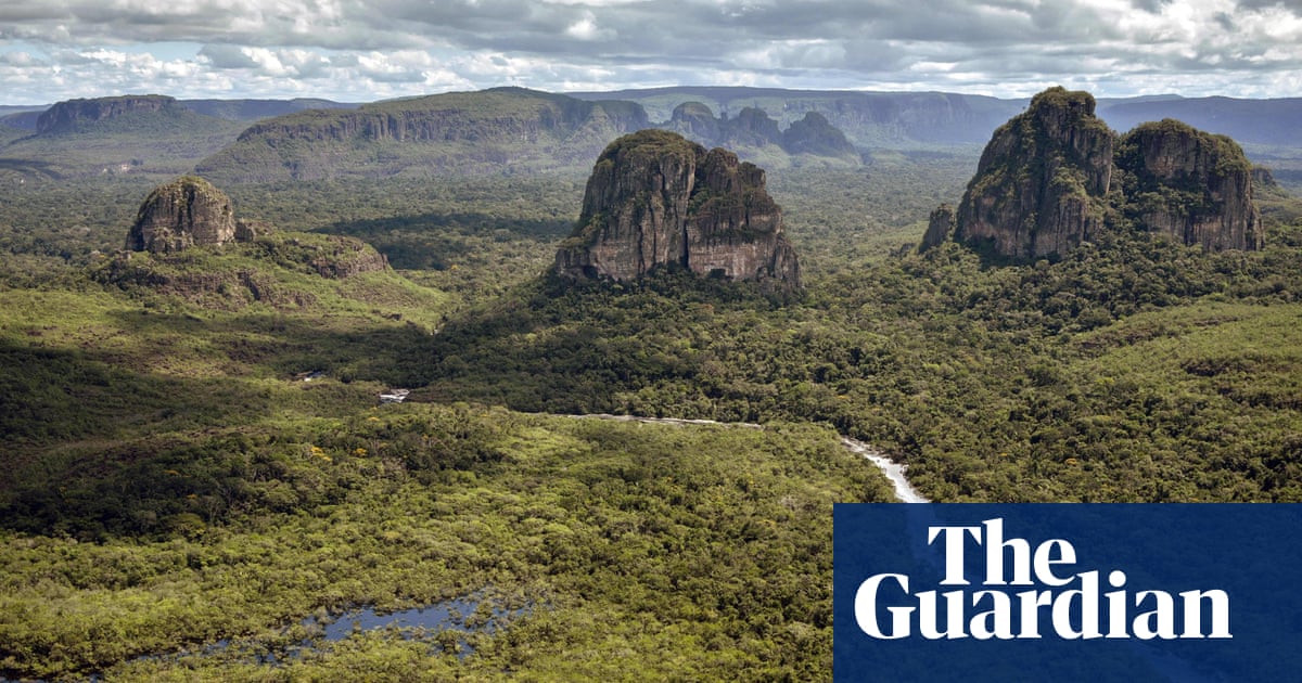 Colombia's Deforestation Rate Plunges by 29% Amid Peace Efforts