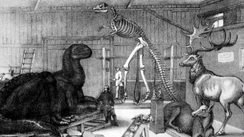 Unveiling the Unexpected Culprit Behind the Trashing of New York's First Dinosaur Museum.
