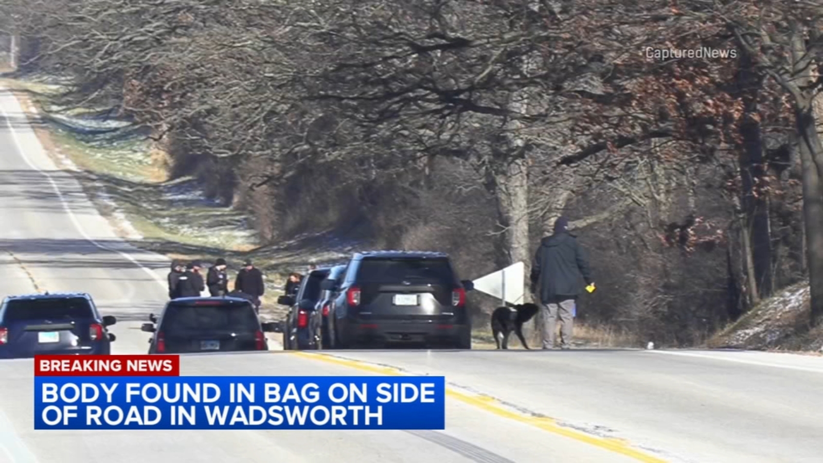 Featured image for Gruesome Discoveries: Bodies Found Dumped on Roadsides in Chicago Suburbs