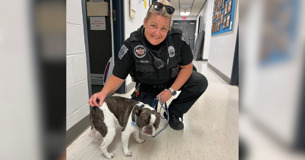 Featured image for Owner Faces Charges for Abandoning Dog at Pittsburgh Airport