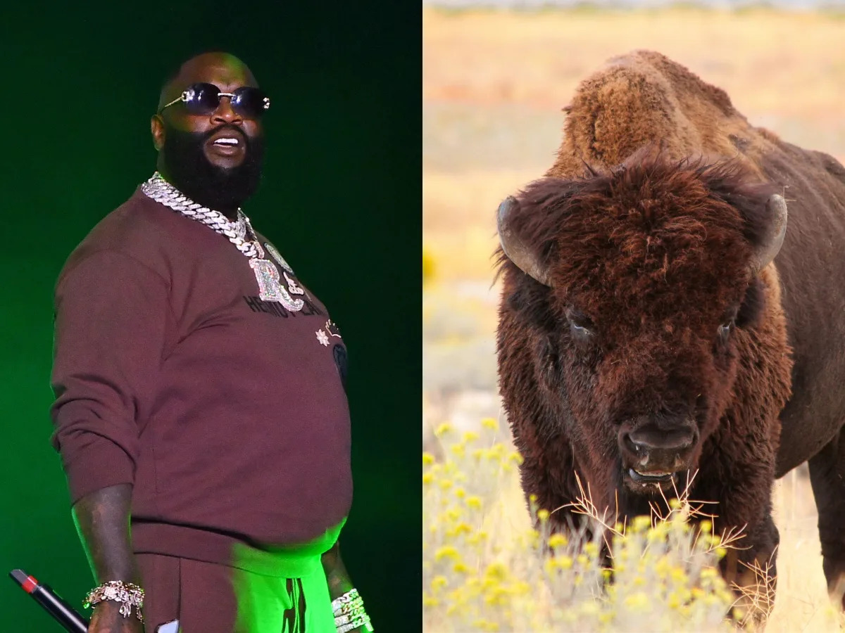 Featured image for Rick Ross' Pet Buffaloes Cause Neighborly Concerns
