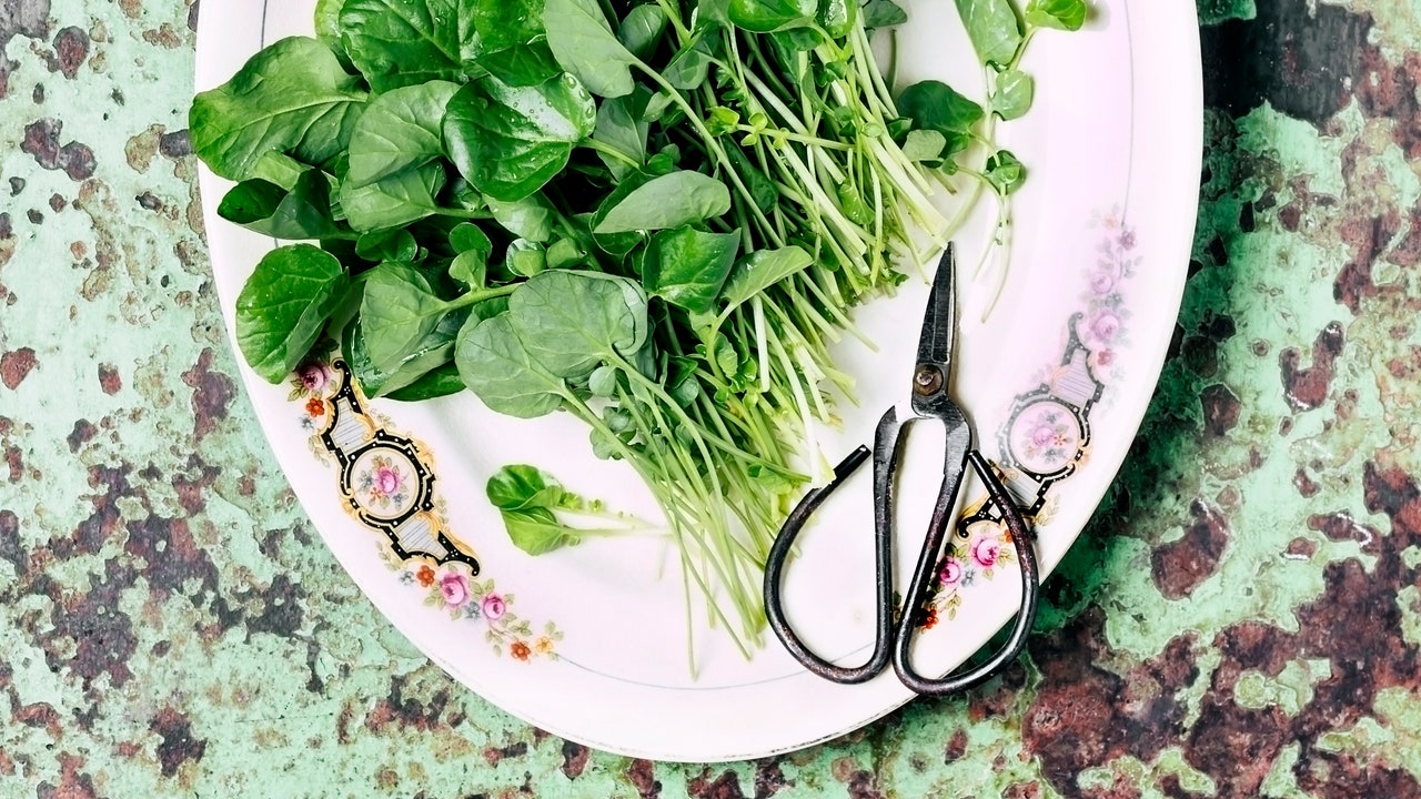 Featured image for "The World's Healthiest Food: Grow it Yourself, No Garden Needed"