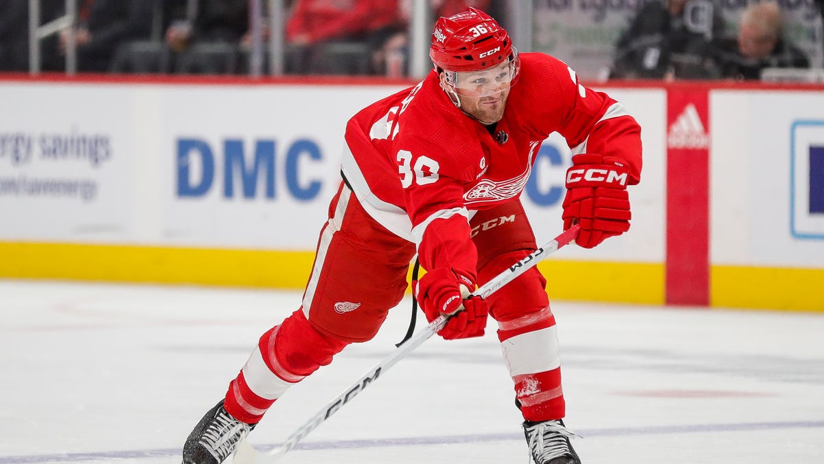 "Florida Panthers vs. Detroit Red Wings: Preview, Predictions, and How to Watch"