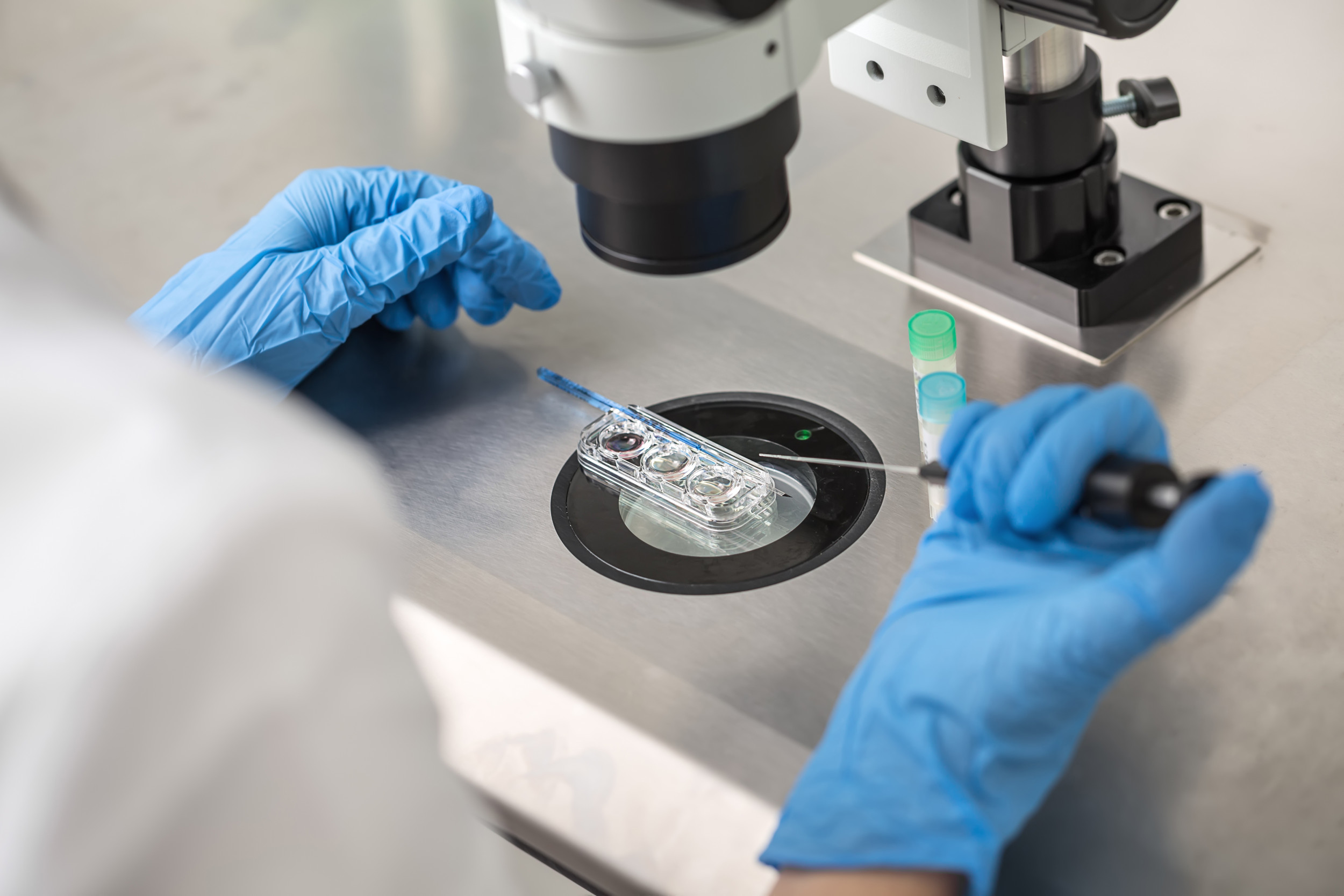 "Republican Blocks IVF Bill Over Concerns of Human-Animal Chimeras"