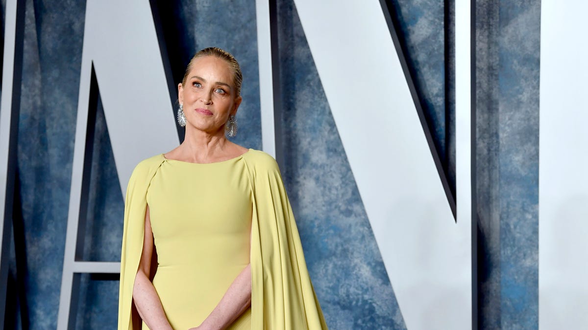 "Sharon Stone's Allegations: Former Sony Head Faces Sexual Harassment Claims from the 1980s"
