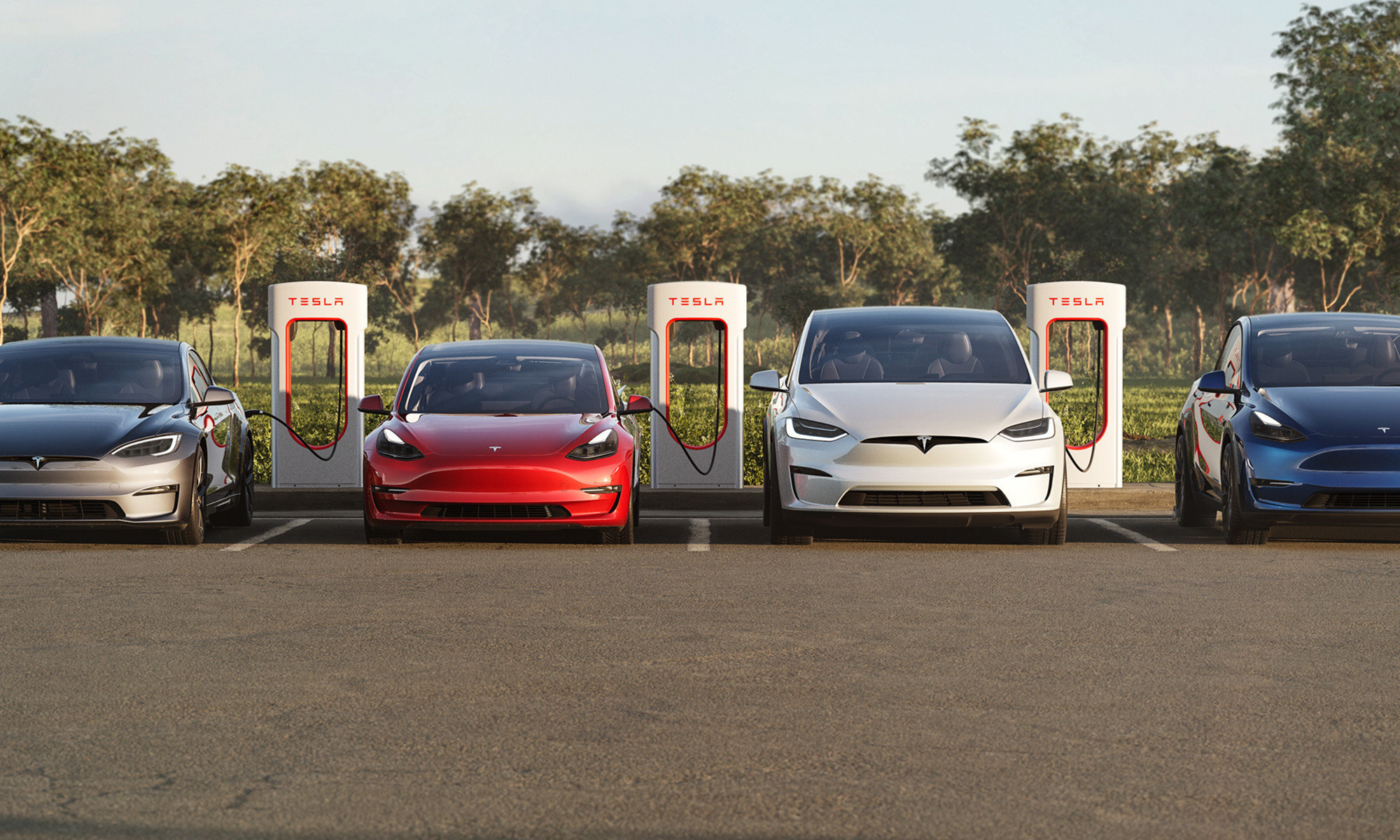 "Analyzing Tesla's Stock Plunge and Potential Turnaround Strategies"