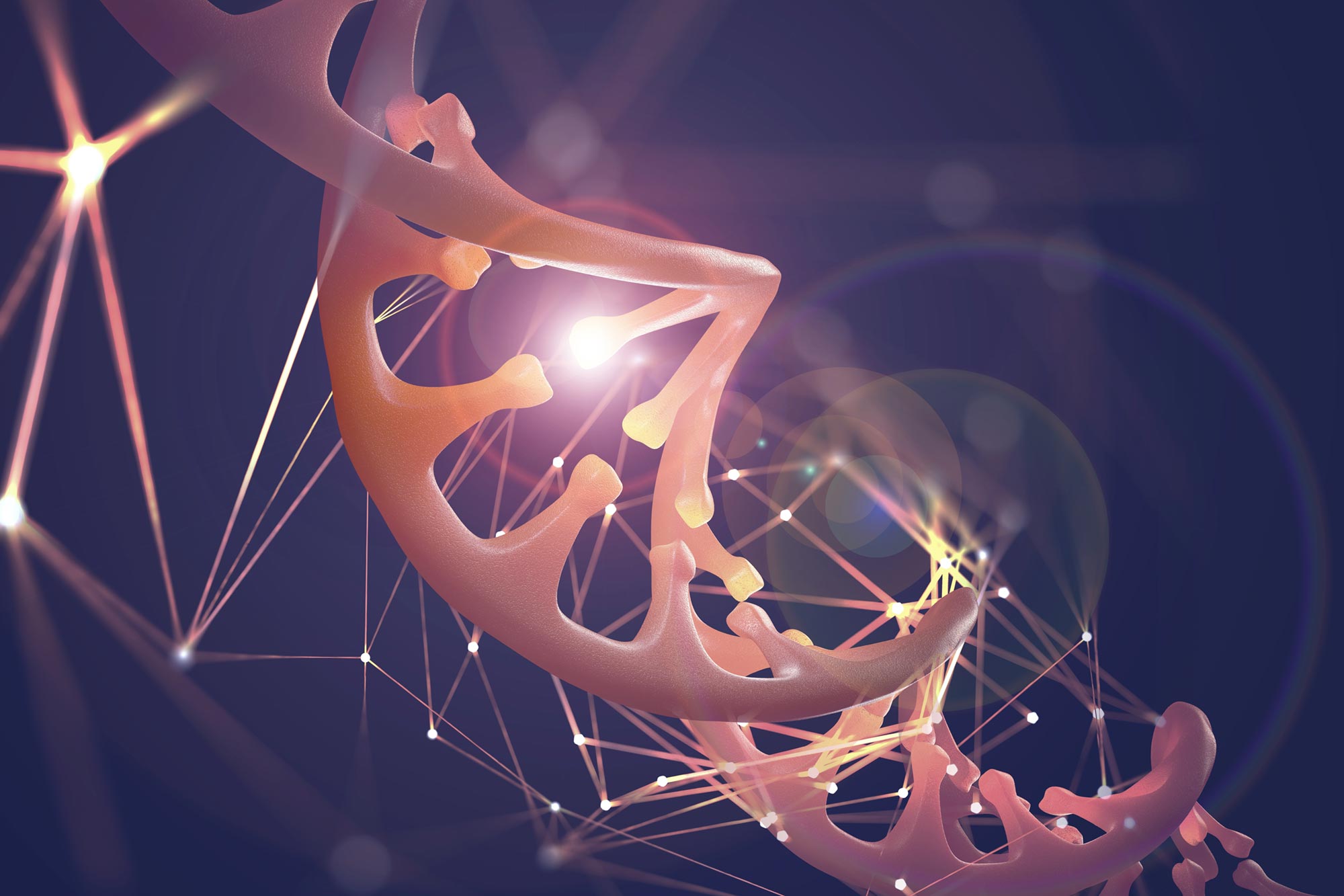 Featured image for Scientists Map Human Genome in Four Dimensions to Uncover DNA Structure and Function