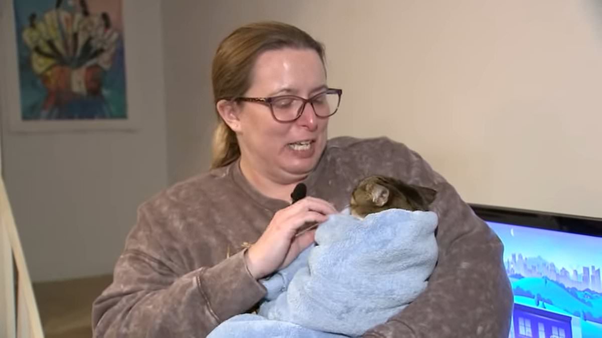 Featured image for "Delaware Woman's Life Saved by Apple Watch Amid Carbon Monoxide Emergency"