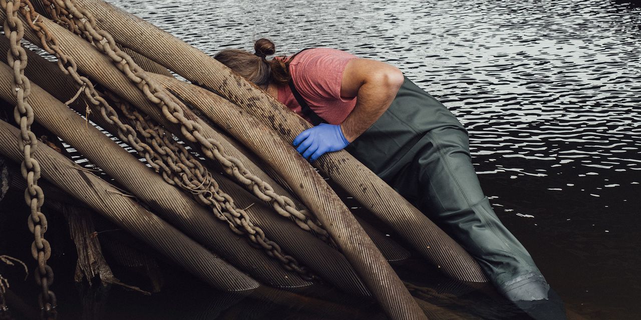 "Unveiling America's Toxic Lead Cable Crisis: Share Your Story"