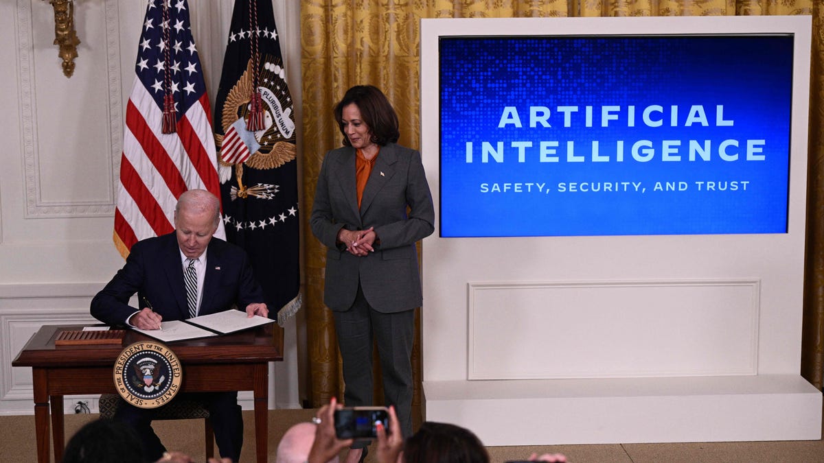 "White House Introduces Binding AI Regulations for Federal Agencies"