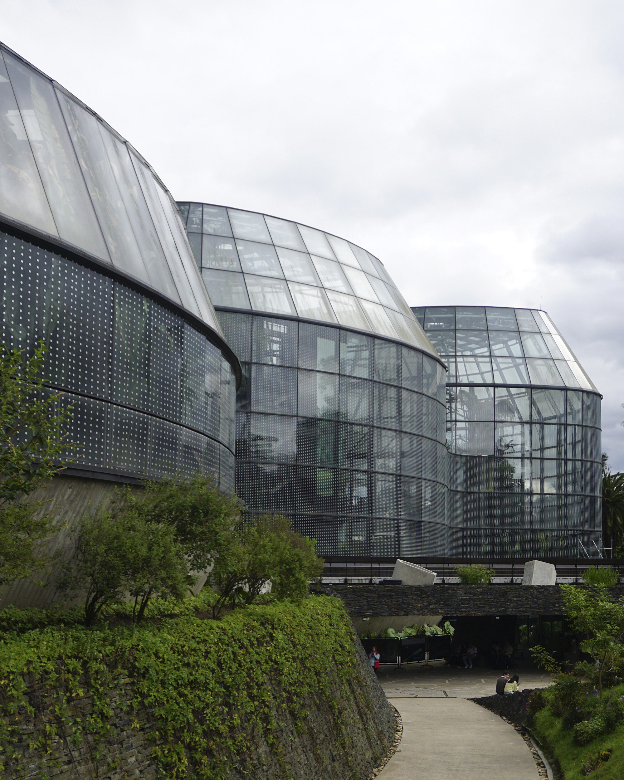 Transforming the Tropicarium: A Stunning Before and After at Bogotá Botanical Garden.