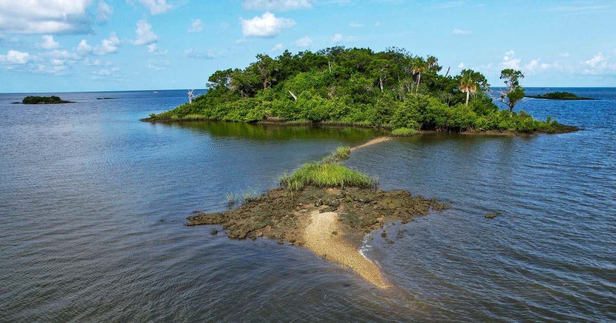 Featured image for Covid-19 Fraudster Buys Private Island with Stolen Relief Aid