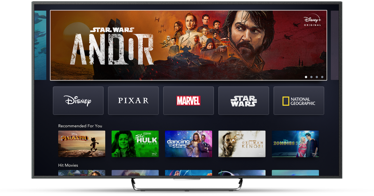 "Choosing the Best Streaming Service: A 2024 Guide"