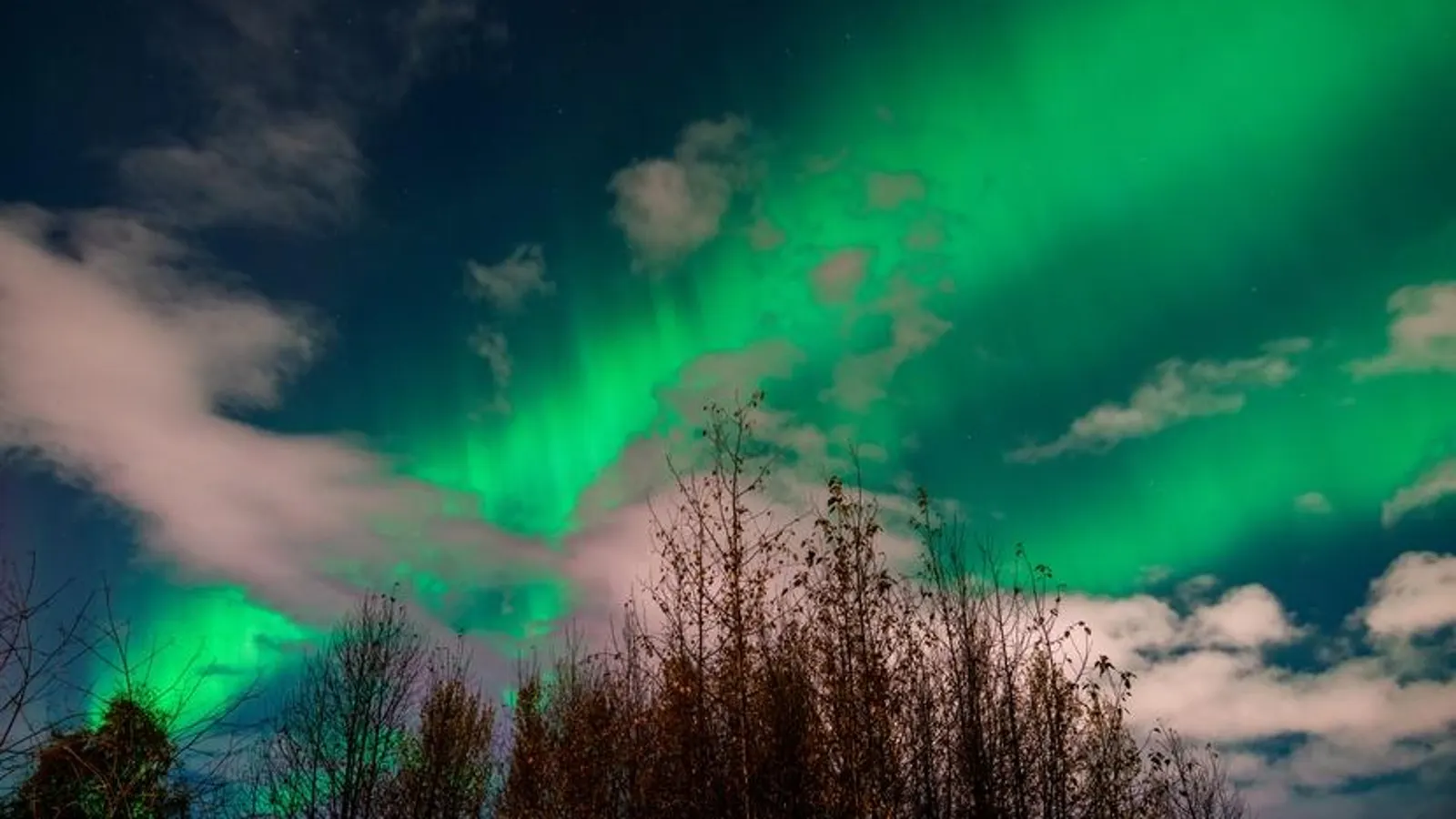 Featured image for Northern Lights Alert: Aurora May Dazzle U.S. Skies Tonight
