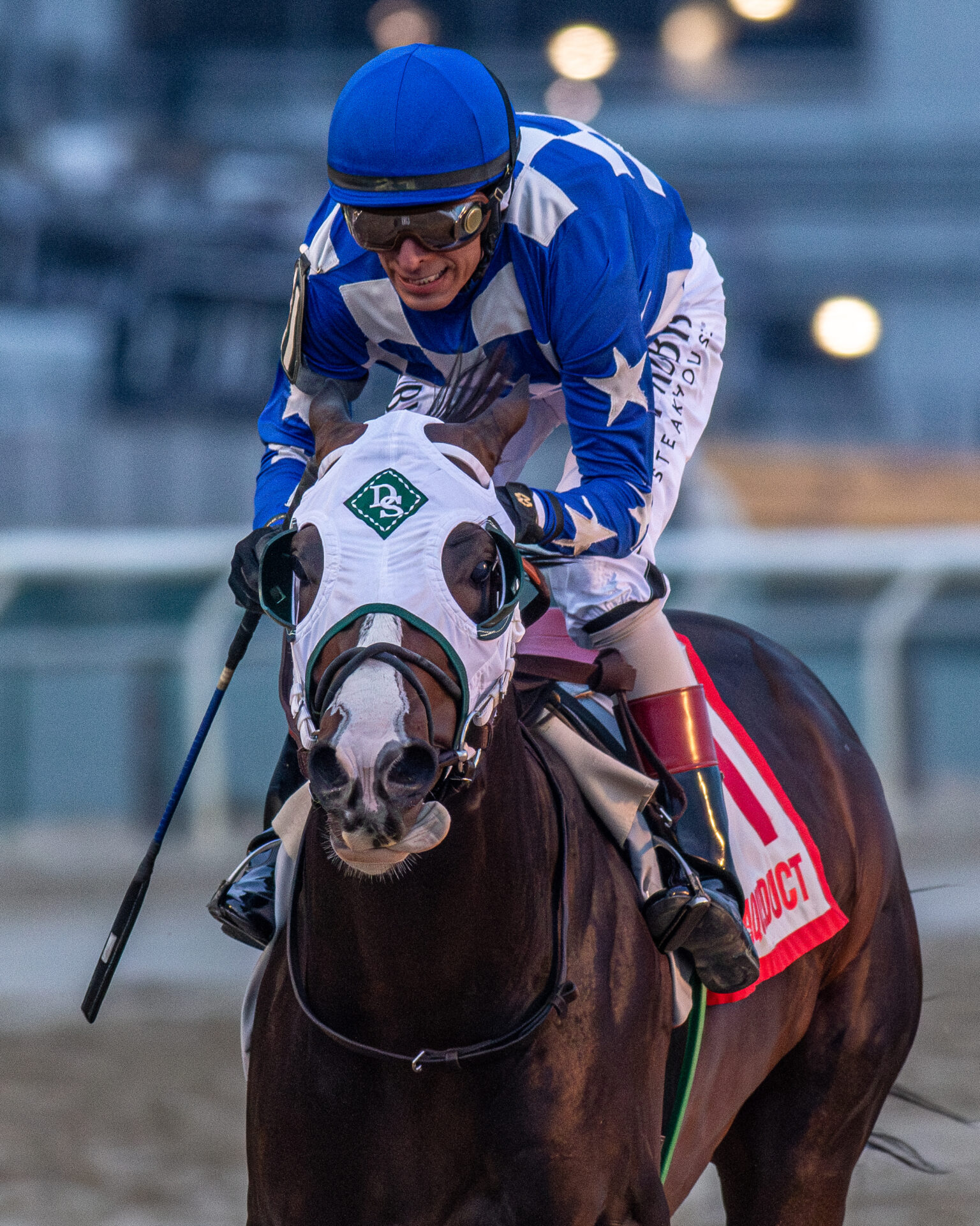 "Pegasus World Cup 2024: Insider Picks and Predictions for the Stacked Field"