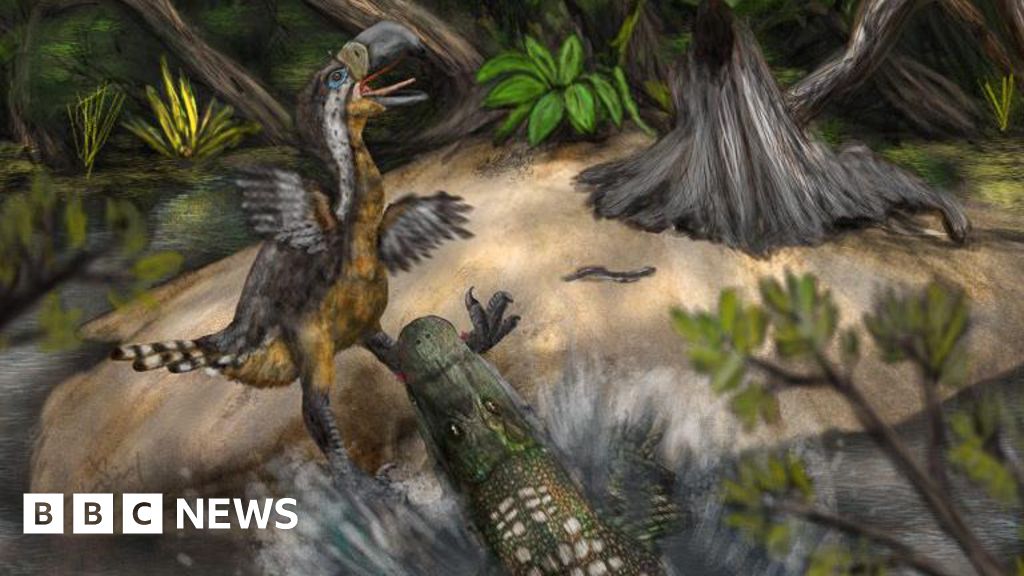 Featured image for Terror Bird Likely Killed by Reptile 13 Million Years Ago