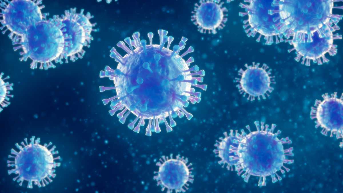Measles Outbreak Expands in South Carolina Amid Vaccination Challenges