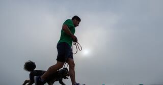 Featured image for "Study reveals widespread hesitancy among US dog owners towards canine vaccines"