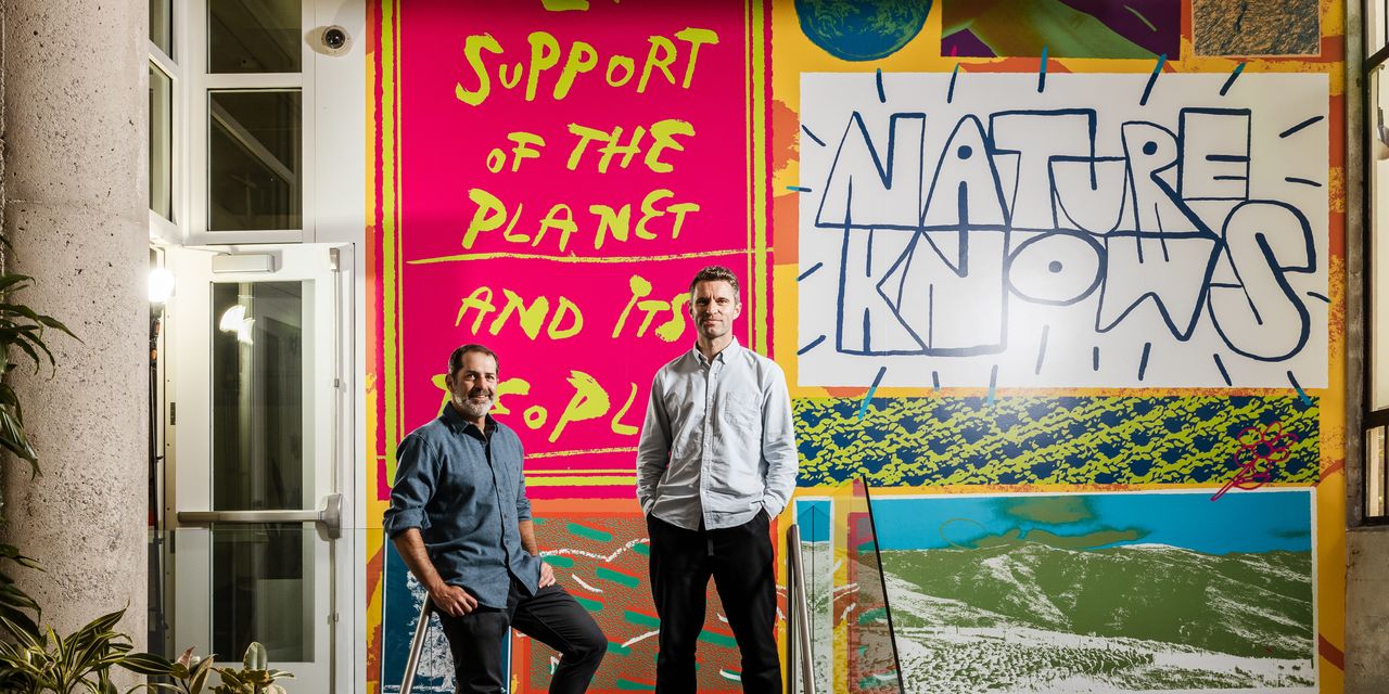 Allbirds: A Misstep in the Journey