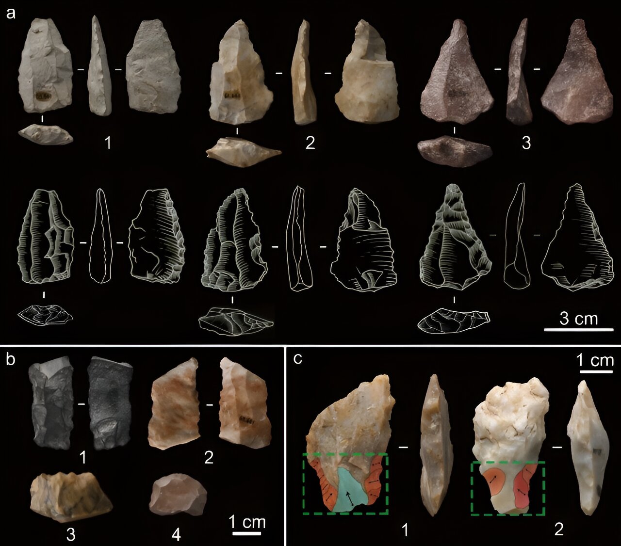 Featured image for "45,000-Year-Old Discovery Unveils Advanced Material Culture of Early Humans in Northeast Asia"