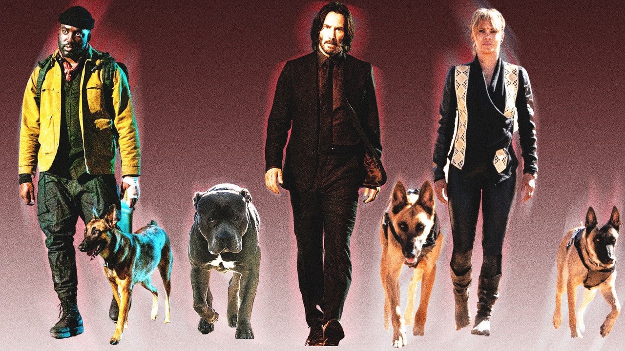 The Rise and Fall of John Wick: A Franchise Analysis.