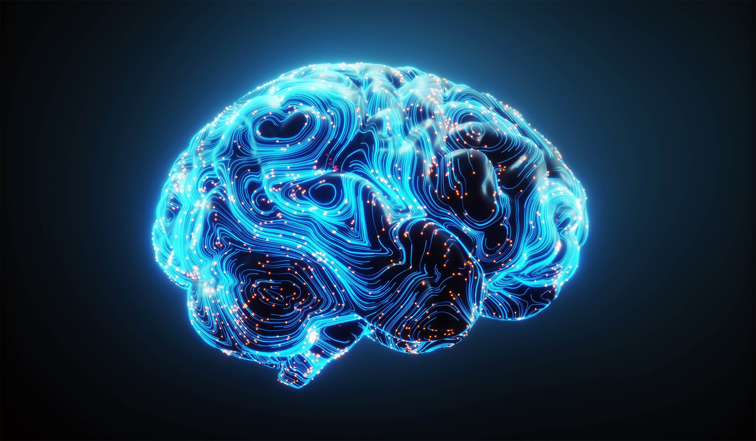 Featured image for Research Reveals Innate Structures in Human Brain Development