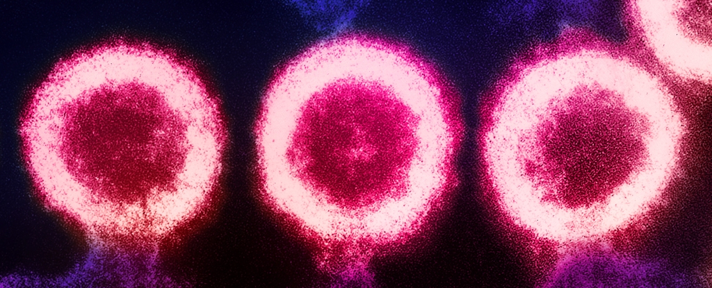 Featured image for "Evolutionary Impact: Ancient Viruses Shaping Our Bodies and Brains"