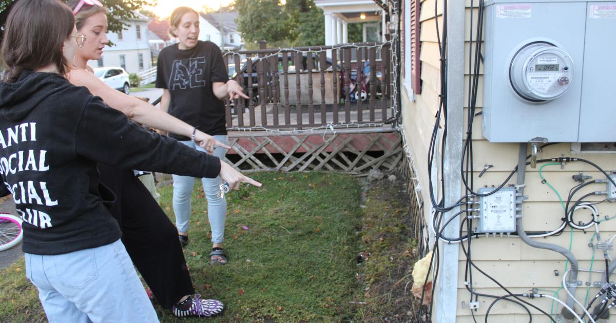 Featured image for Lost Pet Snake Found in Neighbor's Basement: A Mother's Nightmare