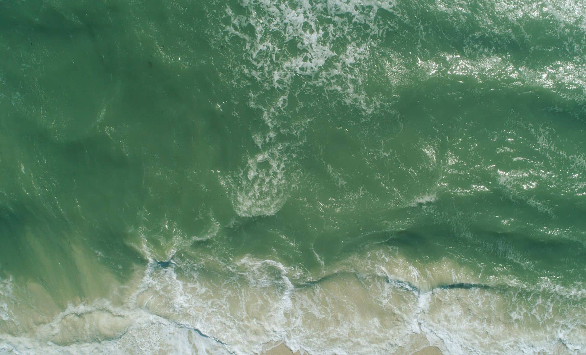 Featured image for Rapid Ocean Color Changes Signal Major Marine Shifts and Regional Impacts