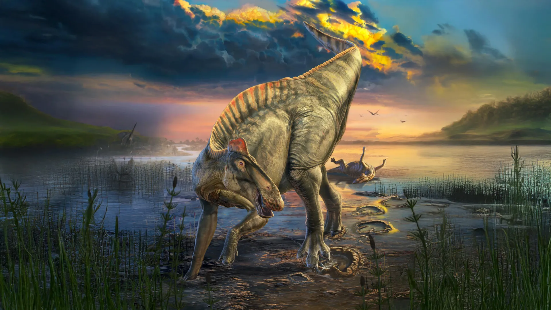 Featured image for Dinosaur Mummy Reveals Hooves and Hidden Crest