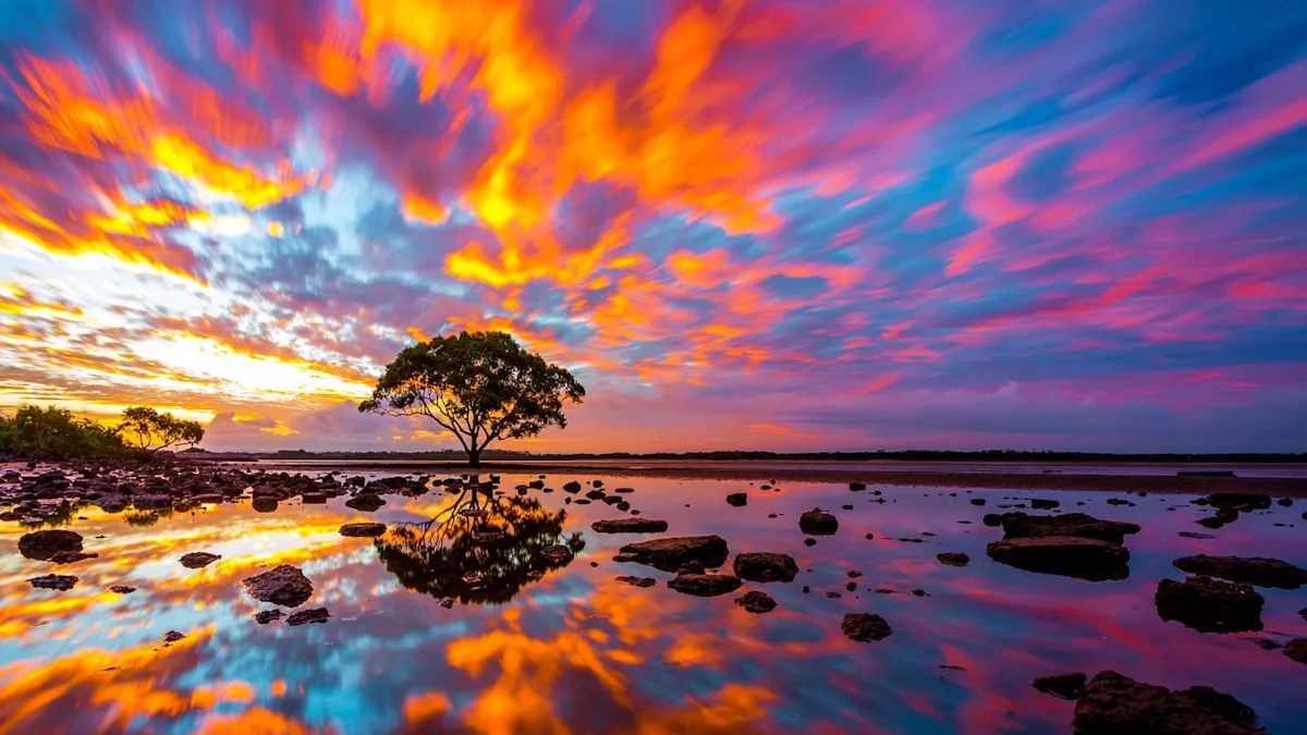 Featured image for Scientists Discover First Branch in the Tree of Life