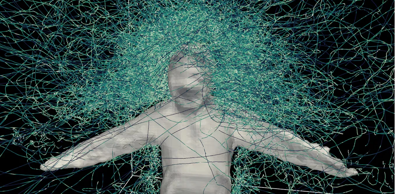 Tracking Mosquito Orbits: How a Mesh-Suit Study Reveals Human Target Cues