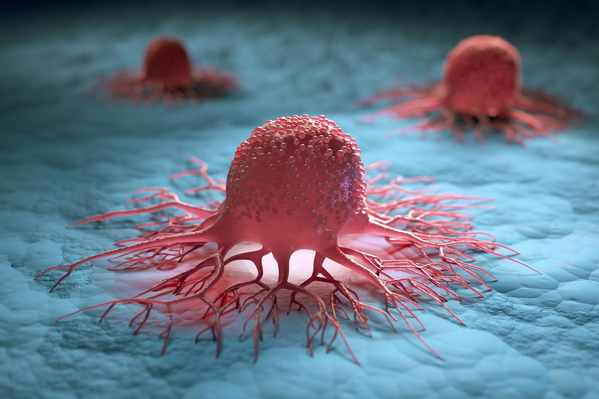 Featured image for Scientists Find Cancer’s Activation Mechanism and a Method to Disable It