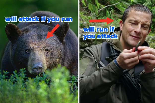 3 Terrible Survival Tips You Should Never Follow.