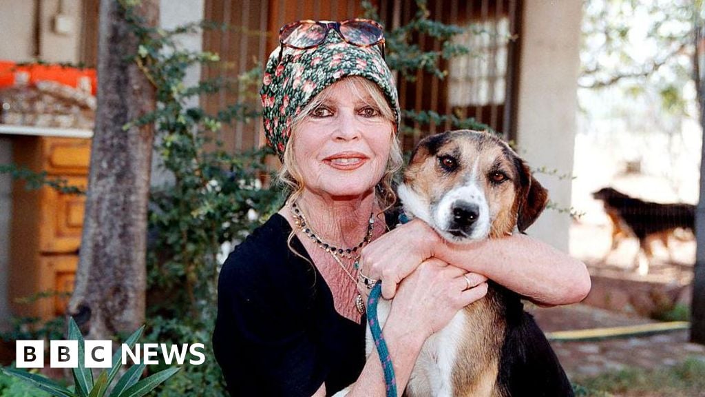 Featured image for French Right Reconsiders Tribute to Controversial Film Star Brigitte Bardot